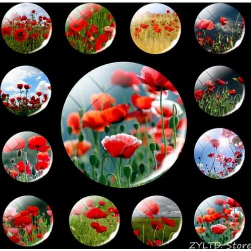 Poppy Flower Fridge Magnet 12PCS Set Art Refrigerator Magnets 30MM Glass Cabochon Refrigerator Decoration Stickers Home Decor
