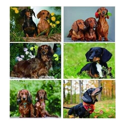 Full Square Professor Dachshund Diamond Painting Animal Dog Diamond Embroidery cute pet 5D Rhinestones Picture By Numbers JS4139