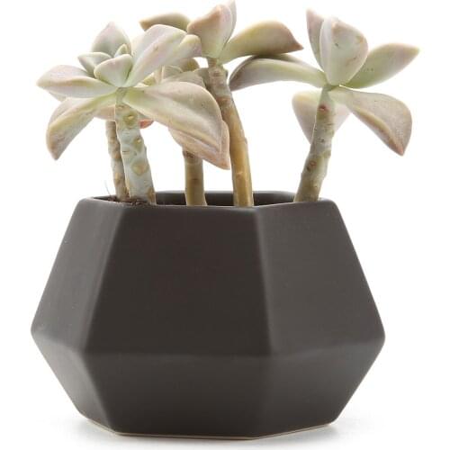Ceramic Hexagonal Pattern Semi-luster Surface Succulent Plant Pot/cactus Plant Pot Flower Pot/container/planter Matte Black