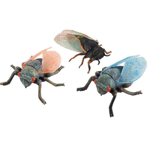 3 Pieces Fake Simulated Insect Model Realistic Plastic Cicada Figures for Collection Science Educational Teaching Aids