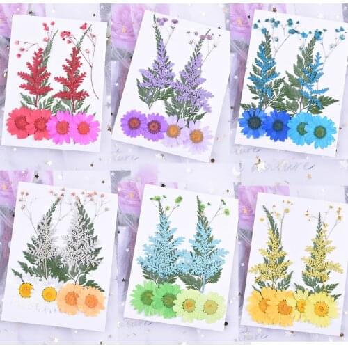 Pressed Flowers Dried Flowers Scrapbooking dry DIY dry Flower for silicone mold pendant jewelry finding tool Decoration craft