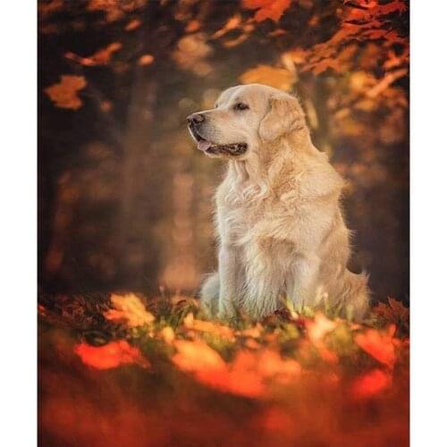 DIY Embroidery Diamond Painting Dog and Fallen Leaves Diamond Mosaic Full Square 5D Diamant Painting Golden Retriever Unframed