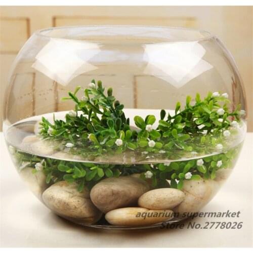 1PCS Round Clear Glass Fish Tank Hydroponic Fleshy Micro Landscape Glass Bottle Plant Container Household Living Room Decoration