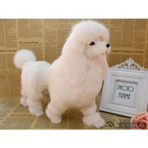 Simulation poodle toy dog 36x12x30cm toy model polyethylene&furs dog model home decoration props ,model gift d144