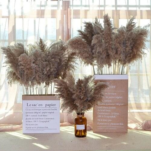 Natural Dried Pampas Grass Wedding Phragmites Bunch Flower Dried Reed Christmas Home Wedding Decoration Flower
