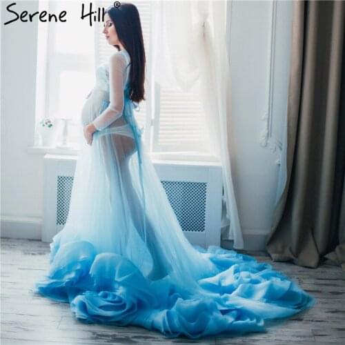 Sexy Evening Dress Blue See Through Long Sleeves Pregnant Photography Rose Flowers Evening Dress 2021 Real Picture HA2053