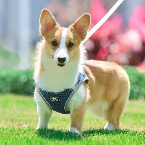 Small Dog Harness Vest Puppy Harnesses Breathable Mesh pet Walking Lead Leash Reflective dog chest strap for Small Medium Dogs