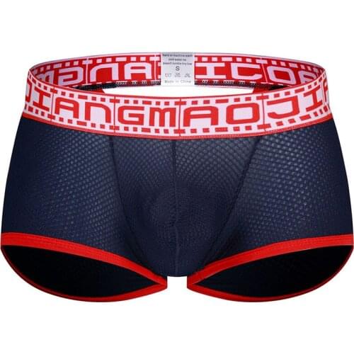 Mesh Underwear Men Sexy Panties Gay Men Boxer Shorts Backless Man Underpants Mens Boxers Penis Brand Quality Erotic Underwear