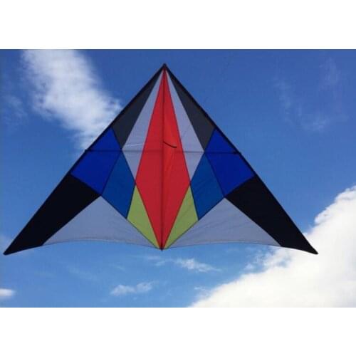 Outdoor toys kite adult flying toy kite acrobatic flying bird toy carbon kite single line fly floatant ripstop kite rainbow kite