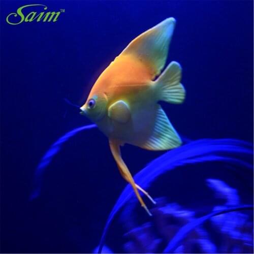 Cute Silicone Artificial Tropical Fish Floated In Water Aquarium Fish Tank Decoration Ornaments Decorative Accessories Supplies