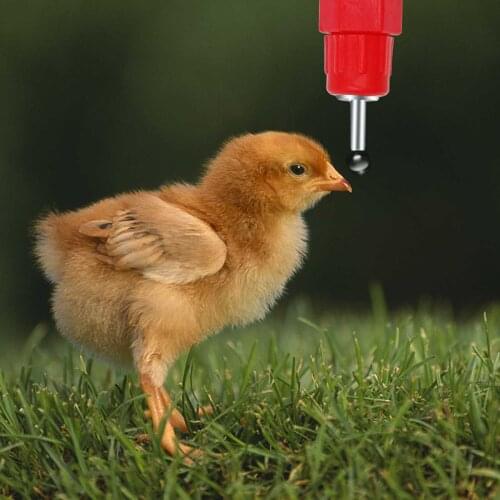 15 Pcs Poultry Chicken Nipple Drinker Drinking Fountain Red Spring Type Mouth Water Poultry Farming Feeding Equipment