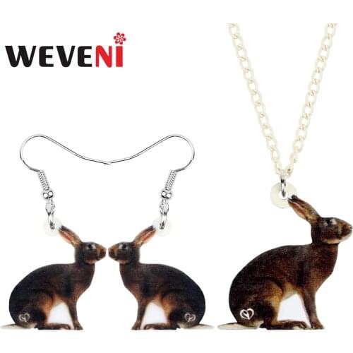 WEVENI Acrylic Easter Brown Rabbit Jewelry Sets Sweet Animal Cute Hare Bunny Earrings Necklace For Women Kids Gifts Accessories