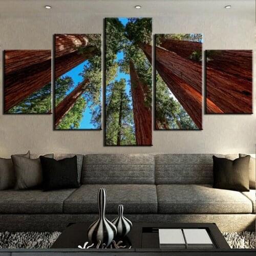 5 Pieces HD Print Painting Giant Sequoia Trees Painting Canvas Wall Art Picture Home Decoration Living Room Canvas Painting