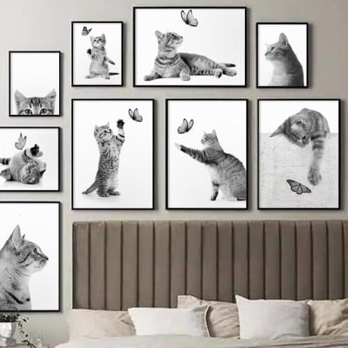 Art Canvas Painting Black White Cat Butterfly Funny Animals Pet Nordic Posters And Print Wall Picture For Living Room Decoration