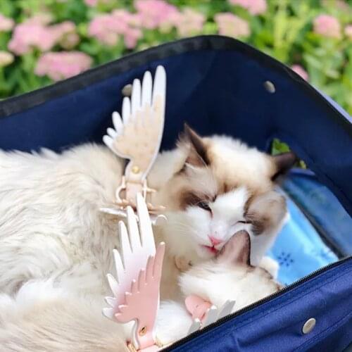 New 2020 Wing Cat Collars Adjustable Dog Leash Pet Collar Leash Lead Pet Harness Dog Leash Harness For Small Medium Pu Leather