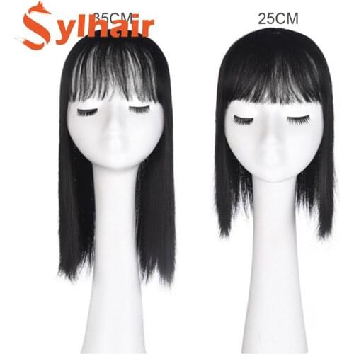 3D Bangs Replacement Piece Hair Covering White Hair Natural Invisible Hair Clip In Hair Bangs Invisible Replacement Cover White