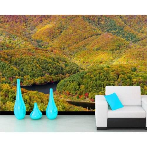 Rivers Forests Seasons Autumn Nature photo wallpaper papel de parede,living room sofa TV wall bedroom wall papers home decor bar