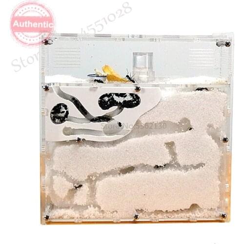 New Ant Workshop Ecological acrylic Ant Nest Acrylic Sand Nest Sandcastle Home Living for Ants