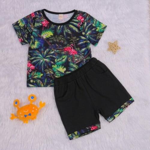 Baby Boy Kid Short Sleeve + Shorts, Coconut Tree Print Sports Casual Style Summer Clothing