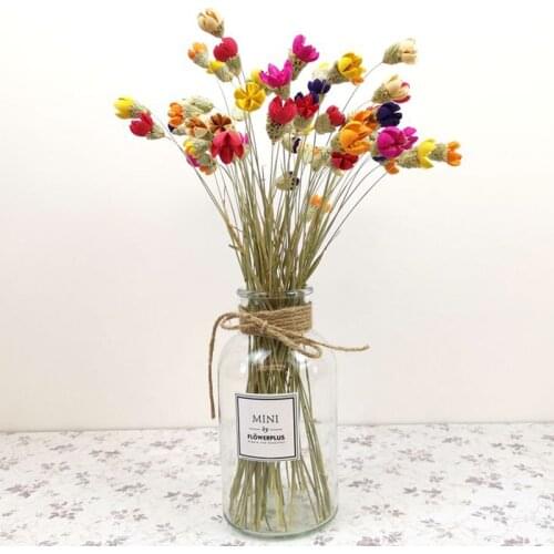 10pcs Real Mini Happy Fruit Dried Natural Flowers Handmake White Red Dry Flower Wedding Marriage Decoration Home Accessories