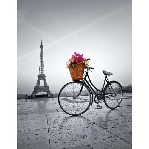 DIY Diamond Painting Landscape Cross Stitch 2019 Diamond Embroidery Iron Tower & Bicycle Sewing Pattern Circular Rhinestone