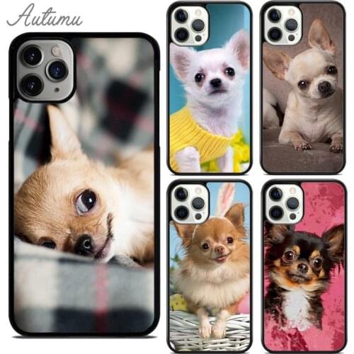 Cute Chihuahua dog Phone Case for iPhone 11 12 Pro Max mini X XR XS SE 2020 5 6S 7 8 Plus Samsung Galaxy S8 S9 S10 Cover shell