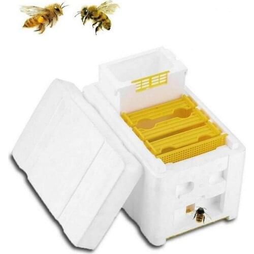 Harvest Bee Hive Beekeeping King Box Pollination House For Honey Bee Mating Copulation Equipment Beehive Frames Boxes Tool Kit