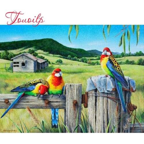 TOUOILP"House and bird"rhinestone pasted,cross stitch,full square&round 5d diamond painting abstract,handcraft crafts,home decor