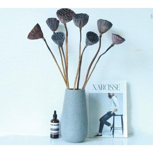 1Pcs Lotus Natural Dried Flowers For Photo Props Home Party Office Decorative Farmhouse Bouquet Plant Branch Fall Decorations