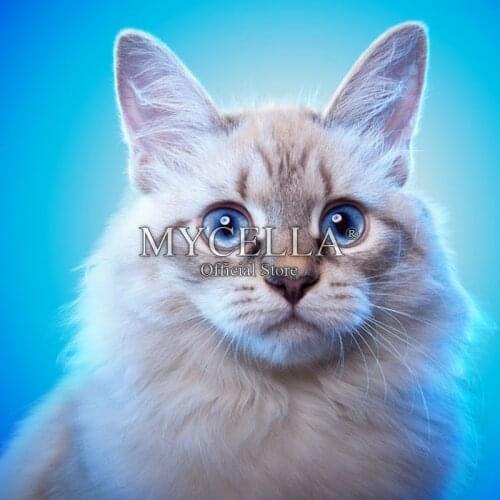 5D DIY Diamond Painting Cross Stitch Cats Animals Needlework Full Round Diamond Embroidery Rhinestone Mosaic Home Decor Crafts