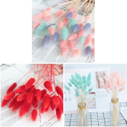 Dried Flower Bouquet Artificial Lagurus Ovatus Decoration for Home Hotel Wedding TS1