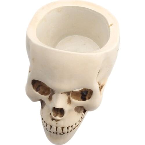 Resin Statue Skull Succulent Plant Flower Pot Planters Makeup Brush Holder