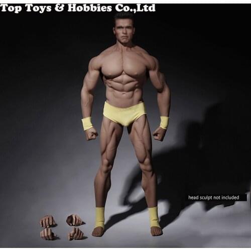 1/6 Scale Action Figure Model Toys PL2016-M34 Male Super Strong Seamless Stainless Steel Body Collections