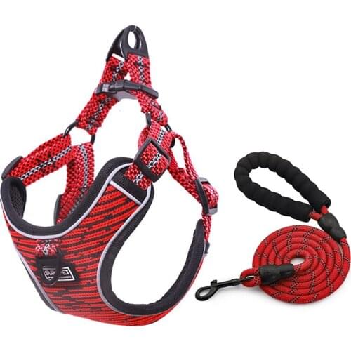 4 Point Dog Harness And Leash Set Soft Mesh Puppy Harness Dog Step-in Breathable Cat Dog Vest Harnesses For Small Medium Dogs