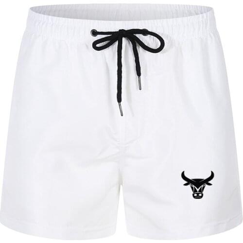 Shorts board surfing Bermuda quick-drying wholesale summer beach brand mens printed mesh lining sports shorts fashion trend