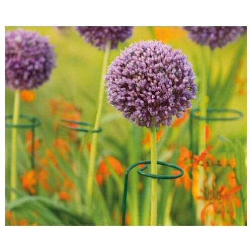 Metal Garden Plant Stake, 6 Pack Single Stem Plant Cage, Green Steel Plant Supports for Tomato, Rose, Vine, Orchid, Lily, Peony