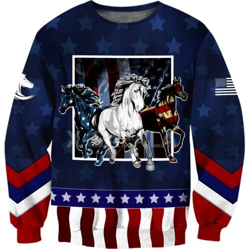 USA flag house 1 3D All Print Plus Hoodie Man Women Harajuku Outwear Zipper Pullover Sweatshirt Casual Unisex Jacket