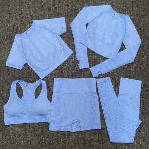 5PCS Seamless Yoga Set Women Sports Bra Short Sleeved Long Sleeved Crop Top Fitness Sportswear High Waist Leggings Sports Suit