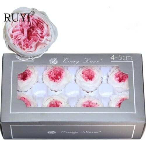 4-5CM/8Pcs Grade A Preserved Austin Roses Head DIY Flower Head Boxed Home Wedding Decoration High-quality Material Birthday Gift