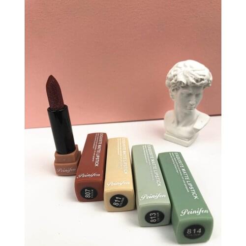 New Arrived Exquisite Matte Lipstick set Velvet Soft lip stick beauty make up pigment lip gloss Korean Cosmetic Makeup