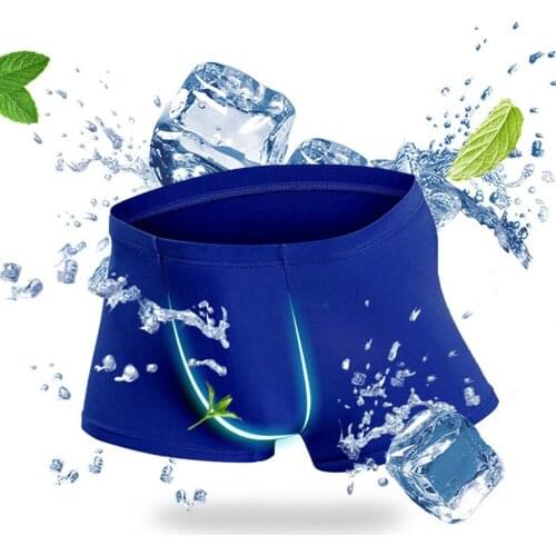 Womail Mens Silk Briefs