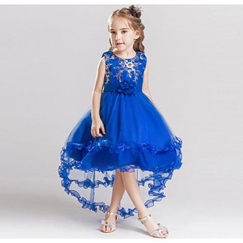 Tulle Applique Flower Girl Dress Communion Wonderful Princess Party Evening Girl Cosplay costume 3 to 10 years old girl