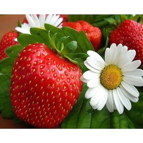 DIY Diamond Embroidery Strawberry Full Square Drill Fruit Pattern Painting Cross Stitch Kit Mosaic Home Decor New Arrivals