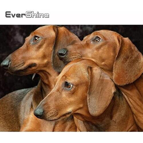 Evershine Diamond Embroidery Full Square Drill Display Dog Diamond Mosaic Animal Diamond Painting Cross Stitch Kit Decoration