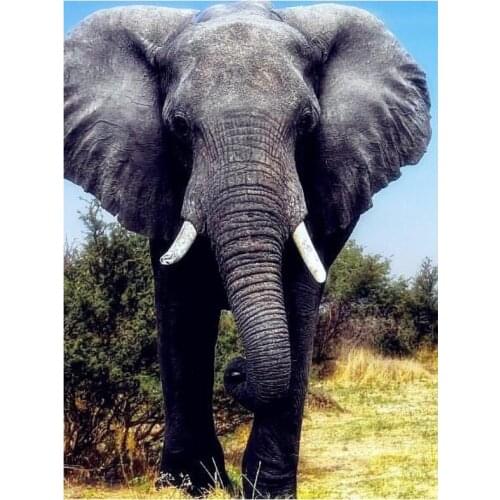 Animals mosaic embroidery wild elephants diamond painting kit beads picture wall paper decor stones drawing christmas gift new