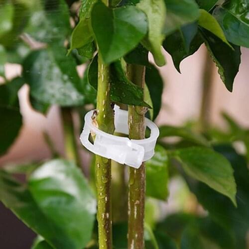 50/100/200PC Plant Support Garden Clips Trellis for Vine Vegetable Tomato to Grow Upright Garden Supplies Plant Support