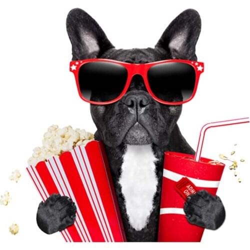 Animal Clothing Badges Patches Tops Heat Transfer Appliqued Fashion Diy Vinyl Transfers For Clothing Popcorn Bulldog