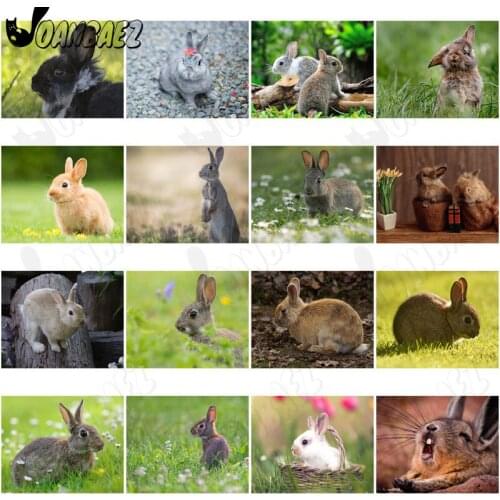 Little Rabbit In The Grass Diamond Painting 5D Diy Mural Modern Cute Animal Diamond Inlaid Home Room Decoration Accessories