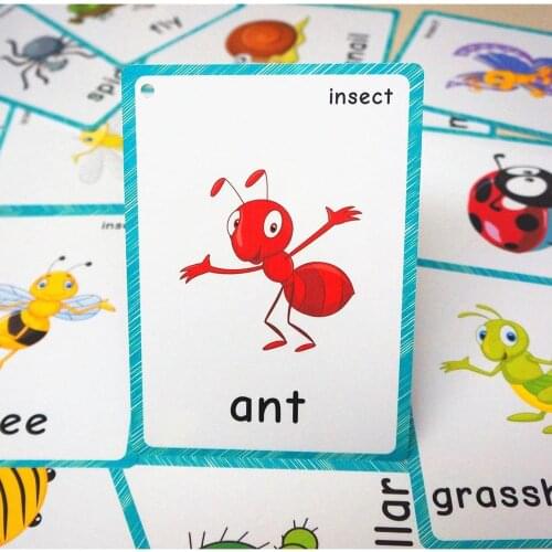 14pcs Insects Flashcards Kids Learning English Word Cards For Kindergarten Classroom Decoration Pocket Card Educational Toys