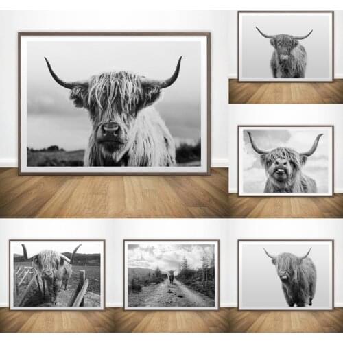 Black and White Highland Cow Scottish Cattle Wall Canvas Art Nordic Painting Poster and Print Wall Picture for Living Room Decor